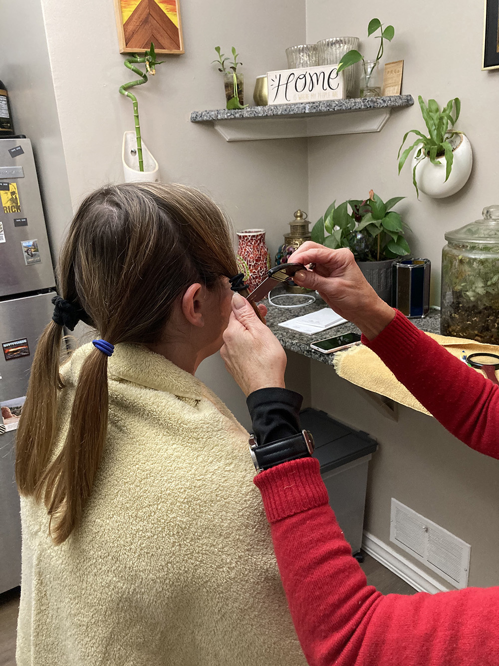 Head Lice Treatment Removal Service in Carmel and Fishers, Indiana